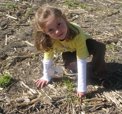 2_alana-corn-seeds.jpg