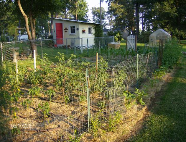 4898_may_2012_gardening_004.jpg