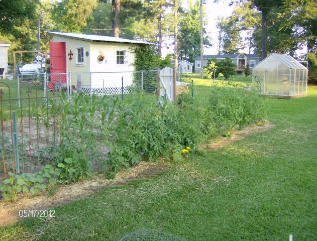 4898_may_2012_gardening_005.jpg