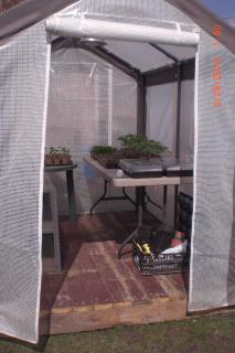 5568_greenhouse_010.jpg