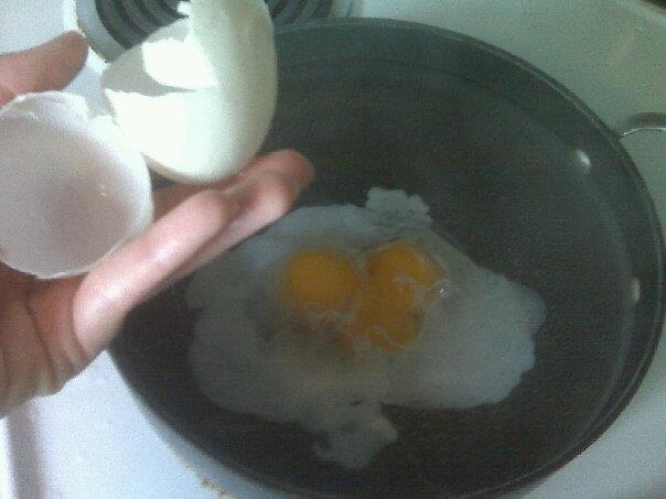 5842_tripleyolker.jpg