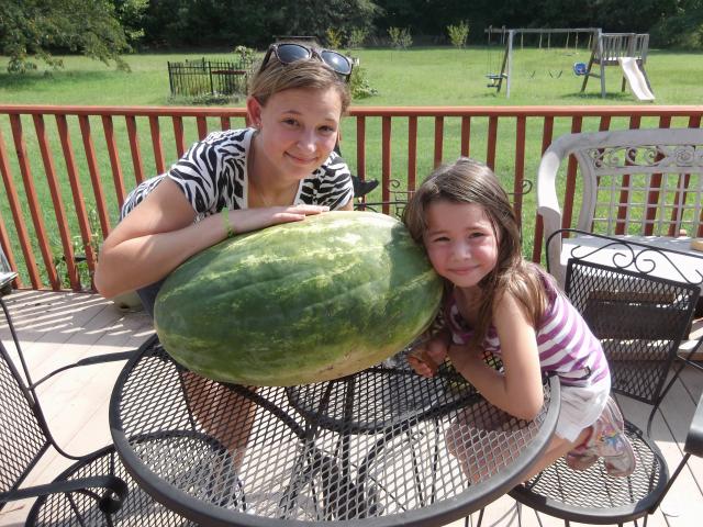 5842_watermelon2.jpg