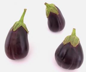 6180_eggplant20black20beauty.jpg