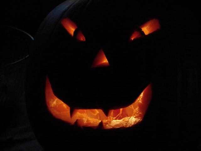 6981_pumpkins_2010_013.jpg