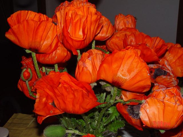 7100_orange_poppies.jpg