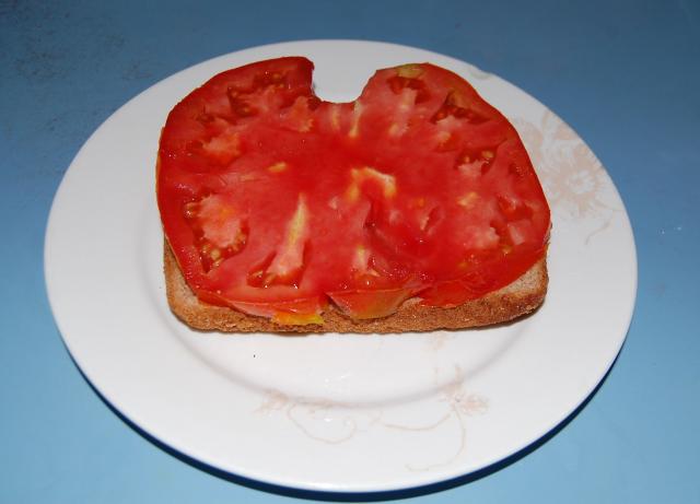 7100_tomato.jpg