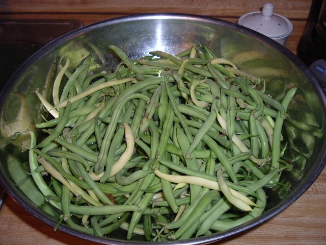 7846_green_beans_002.jpg