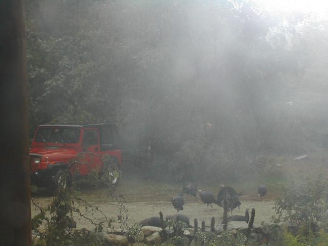 8199_foggy_turkey_morning.jpg