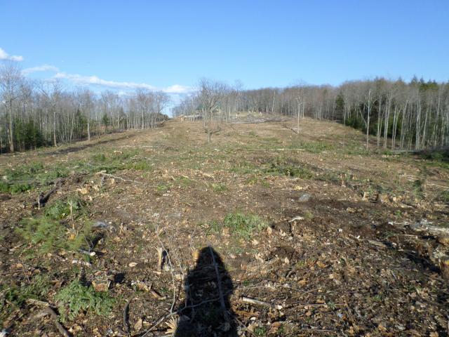 8199_pasture_barn.jpg