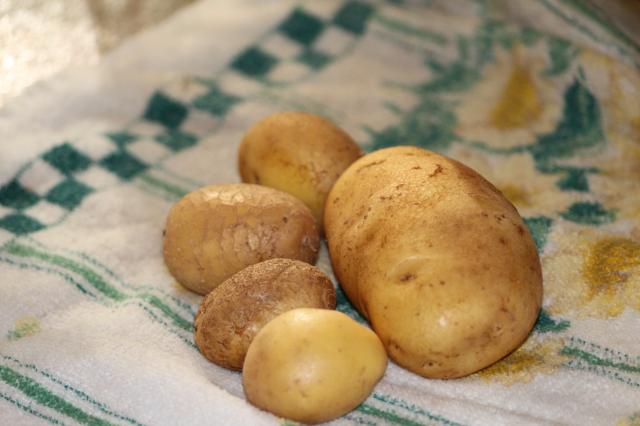 9473_spuds.jpg