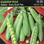 Peas - Alaska