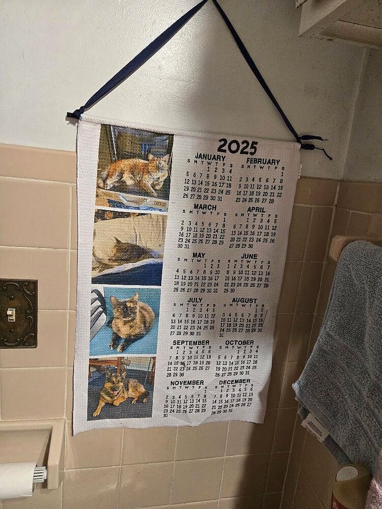 2025 tea towel calendar, 02-18-24.jpg