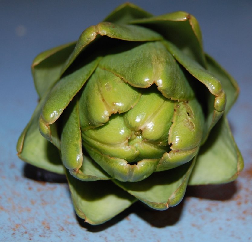 artichoke.jpg