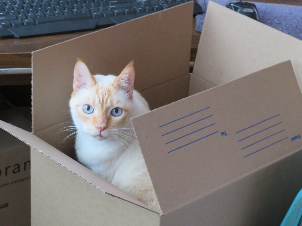 Blinky in a box.JPG