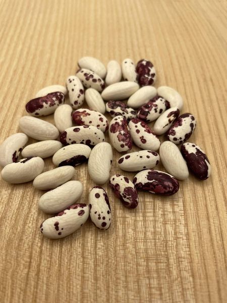 Brazilian Bean #35.jpg