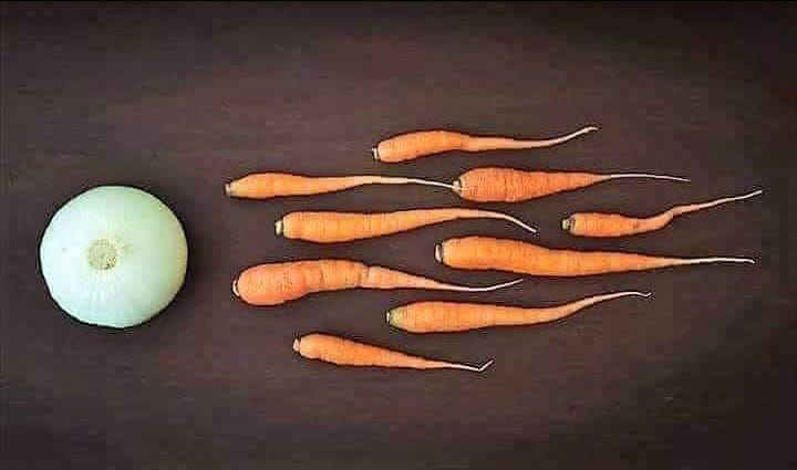 Carrots.jpg