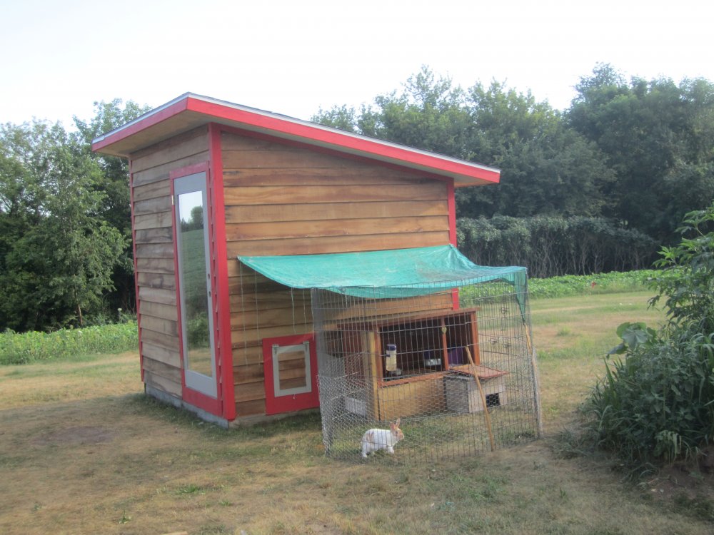 Chix coop with rabbit yard.JPG