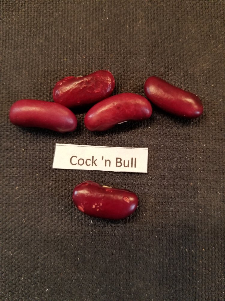 Cock 'n Bull.jpg