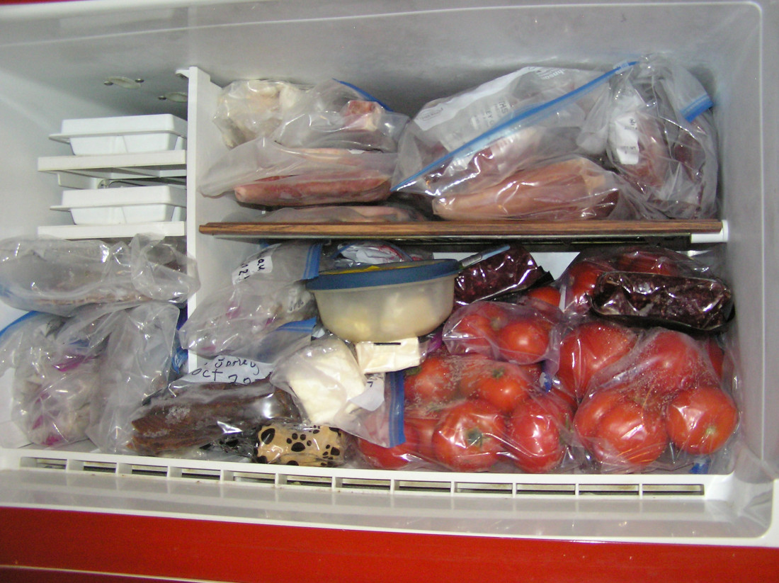 CrammedFullFreezer.JPG