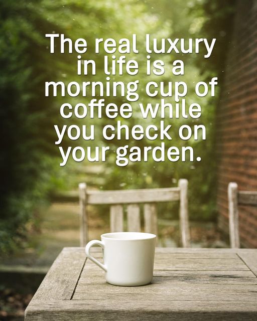 garden coffee 2.jpg