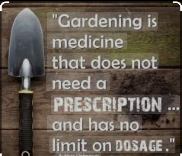 garden meds.jpg