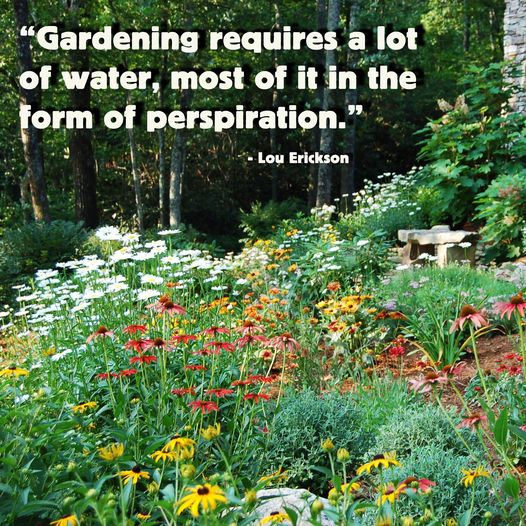 garden persperation.jpg