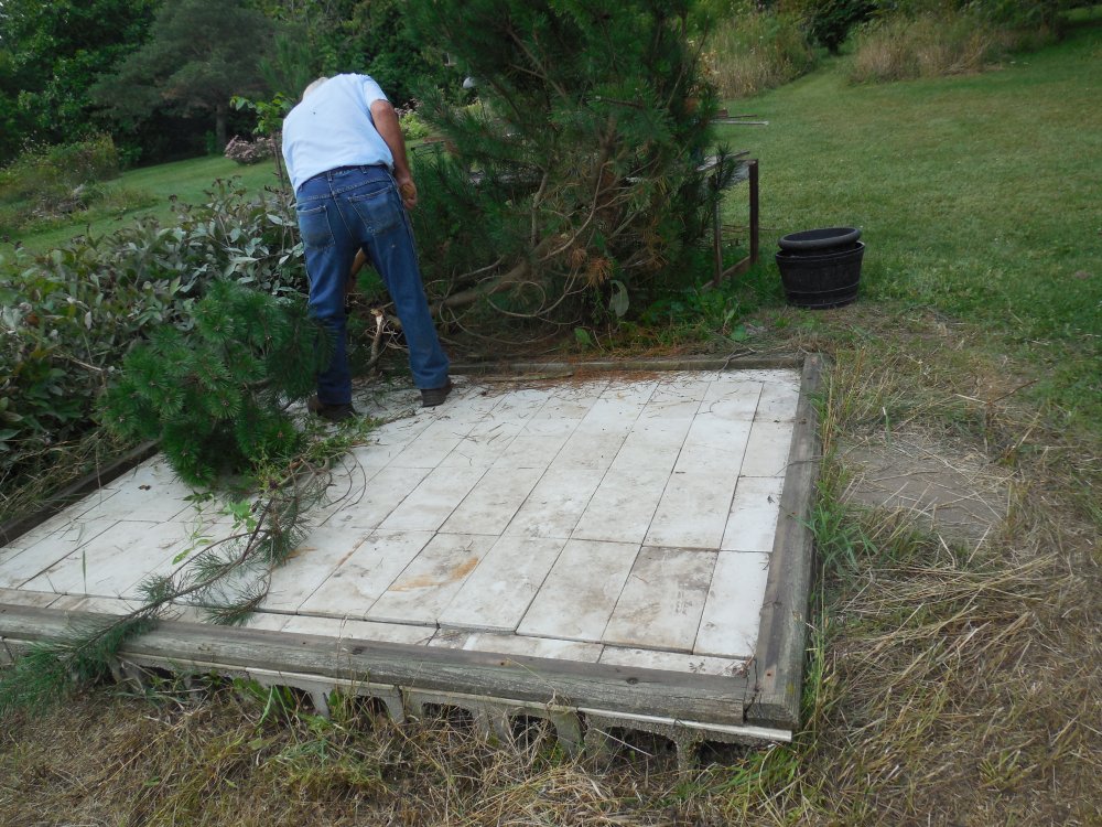 greenhouse gone.JPG