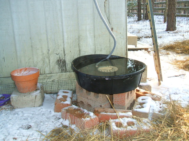 ice free waterer 1.26.13.JPG