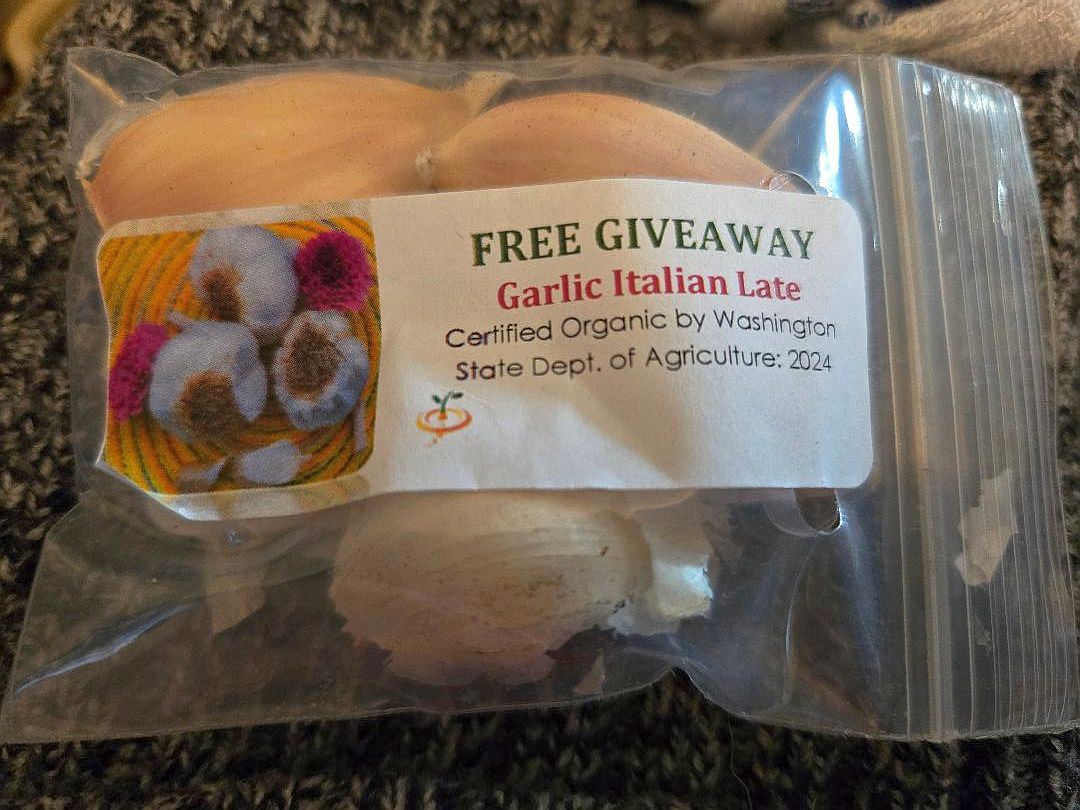 Italian Garlic, late, freebie with bday order, 12-28-24.jpg