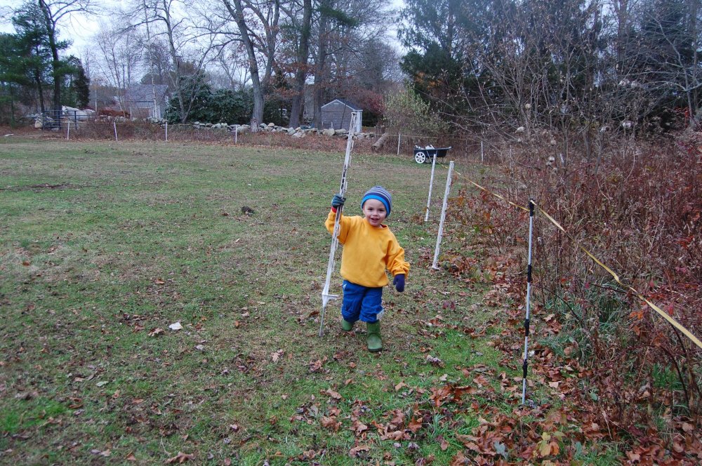 Landon helping with fencing.jpg