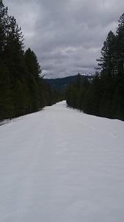 phone 2017 MARCH  F snowshoe.jpg