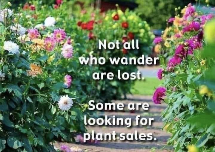 plant sales.jpg