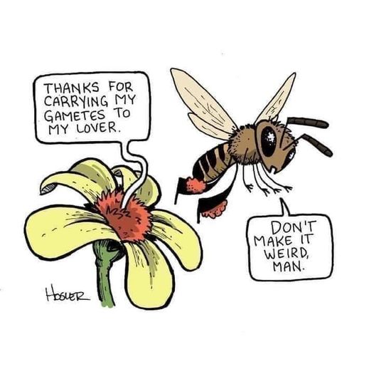 pollinateing '.jpg