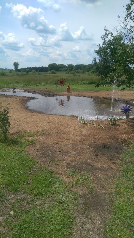 Pond distant view.jpg