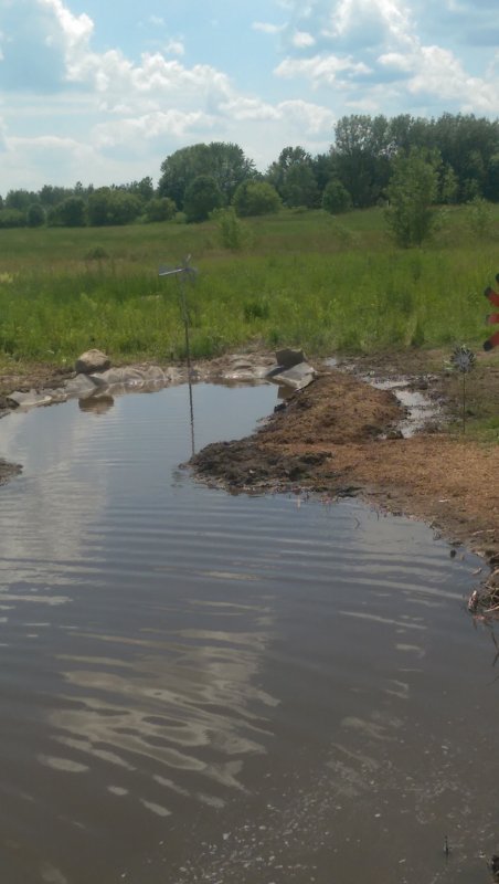 Pond wet corner.jpg