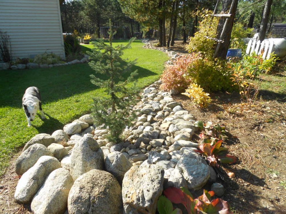 rockwork oct 2013 001.JPG