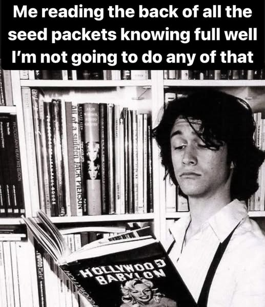 seed packet.jpg