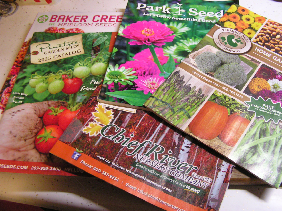 SeedCatalogs2025.JPG