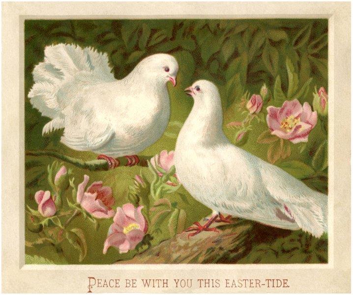 Vintage-Easter-Doves-Picture-GraphicsFairy.jpg