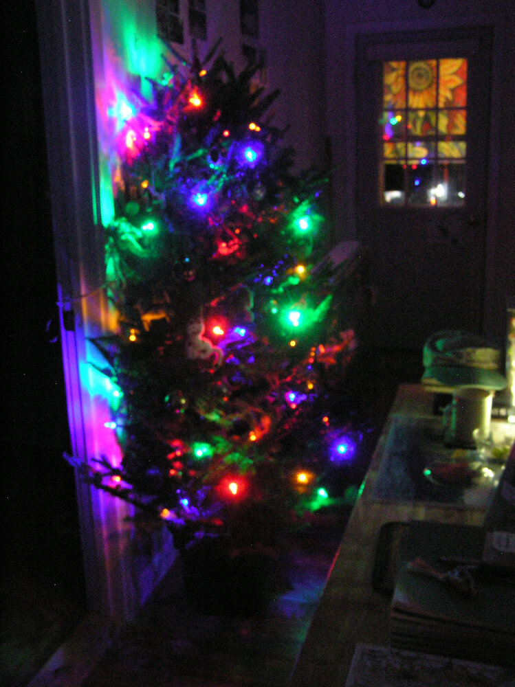 XmasTree4Dec2024a.JPG