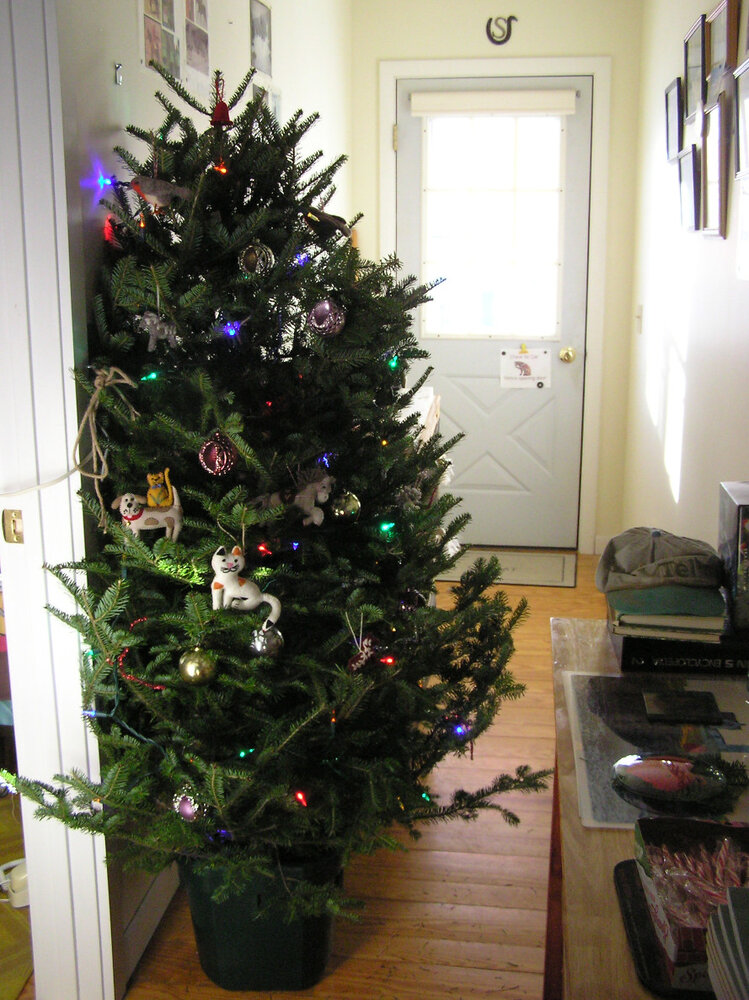 XmasTree4Dec2024b.JPG