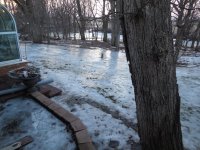 ice - back yard east.JPG