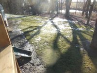 no ice -- back yard East.JPG