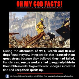 9-11.jpg