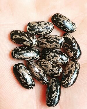 Brazilian Bean #83.jpg