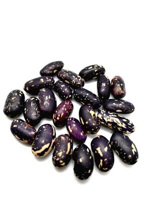 Brazilian Bean #100.jpg