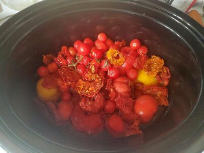 Tomatoes, very last, crock pot, 11-25-24, #1.jpg