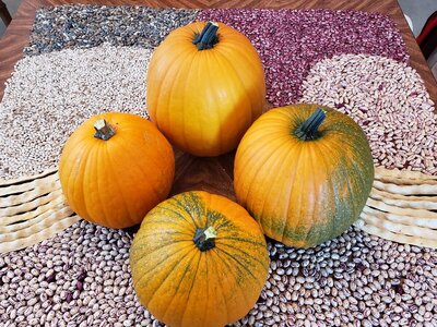 PUMPKINS 5.jpg