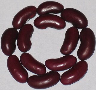 Red Rajma.jpg