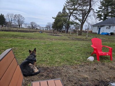 Great Barn Cleanup, 12-28-24, #1.jpg